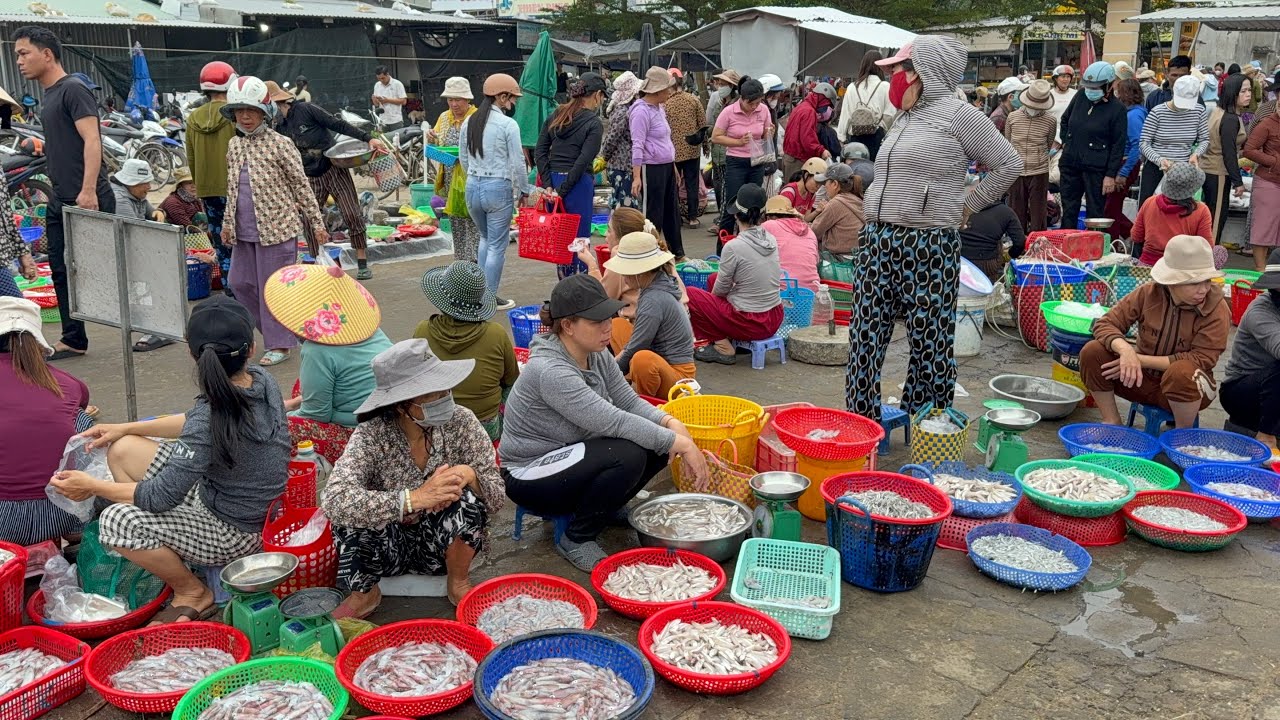 Ngỡ Ngàng Hàng Trăm Người Đến Mua Hải Sản | Làng Biển Tuy Hòa 