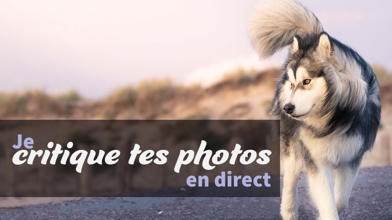 LIVE - Je critique TES photos en direct ! - E18