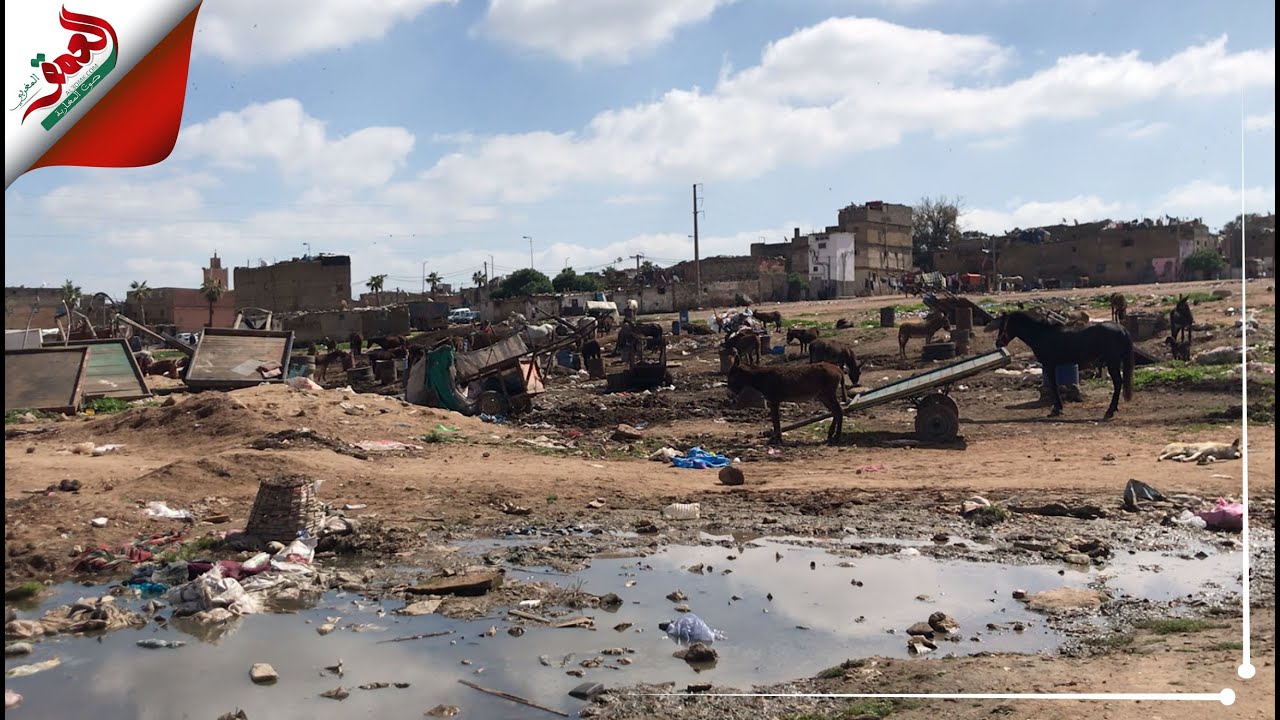 رغم المبادرات الملكية.. ساكنة الهراويين ينددون بالتهميش والإقصاء الذي طالهم ويطالبون بأبسط الحقوق