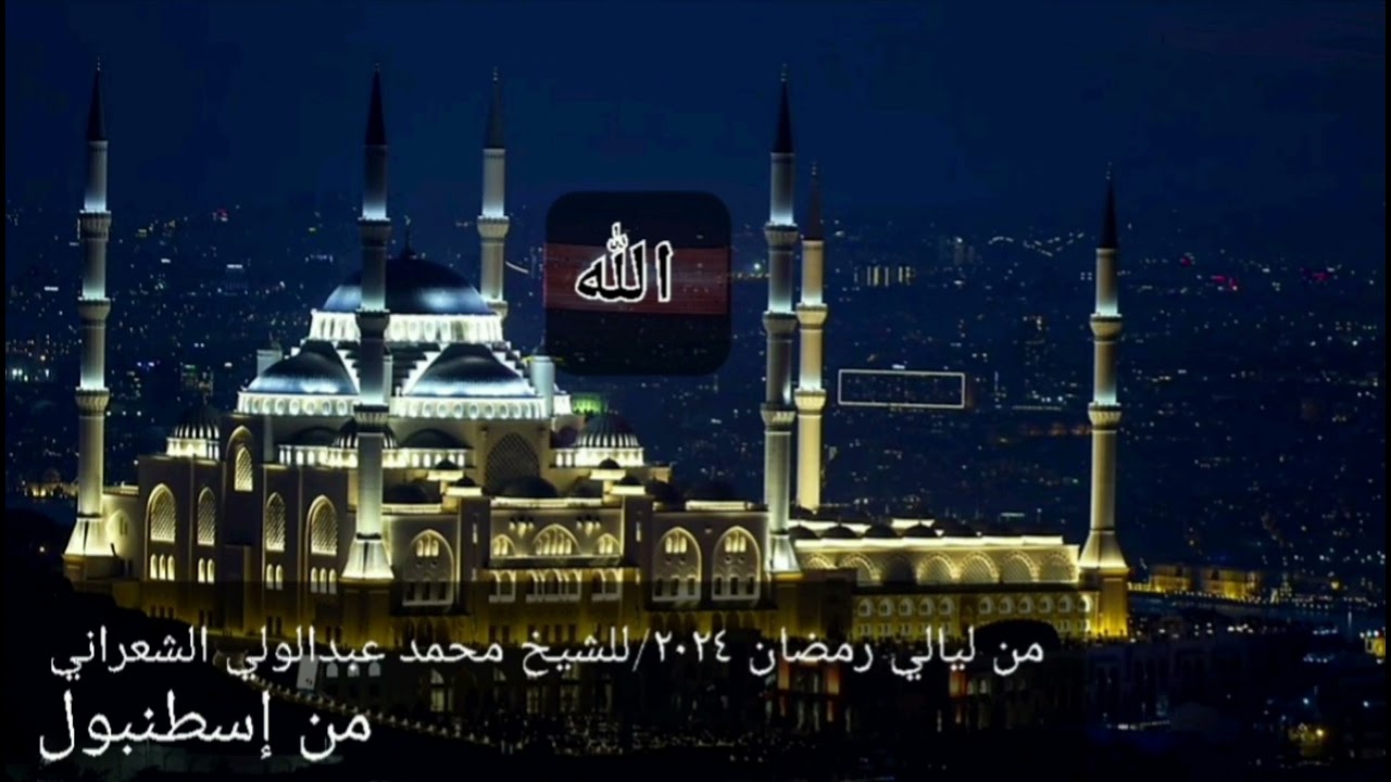 دعاء ليلة 2024/23 من ليالي رمضان/ للشيخ محمد الشعراني