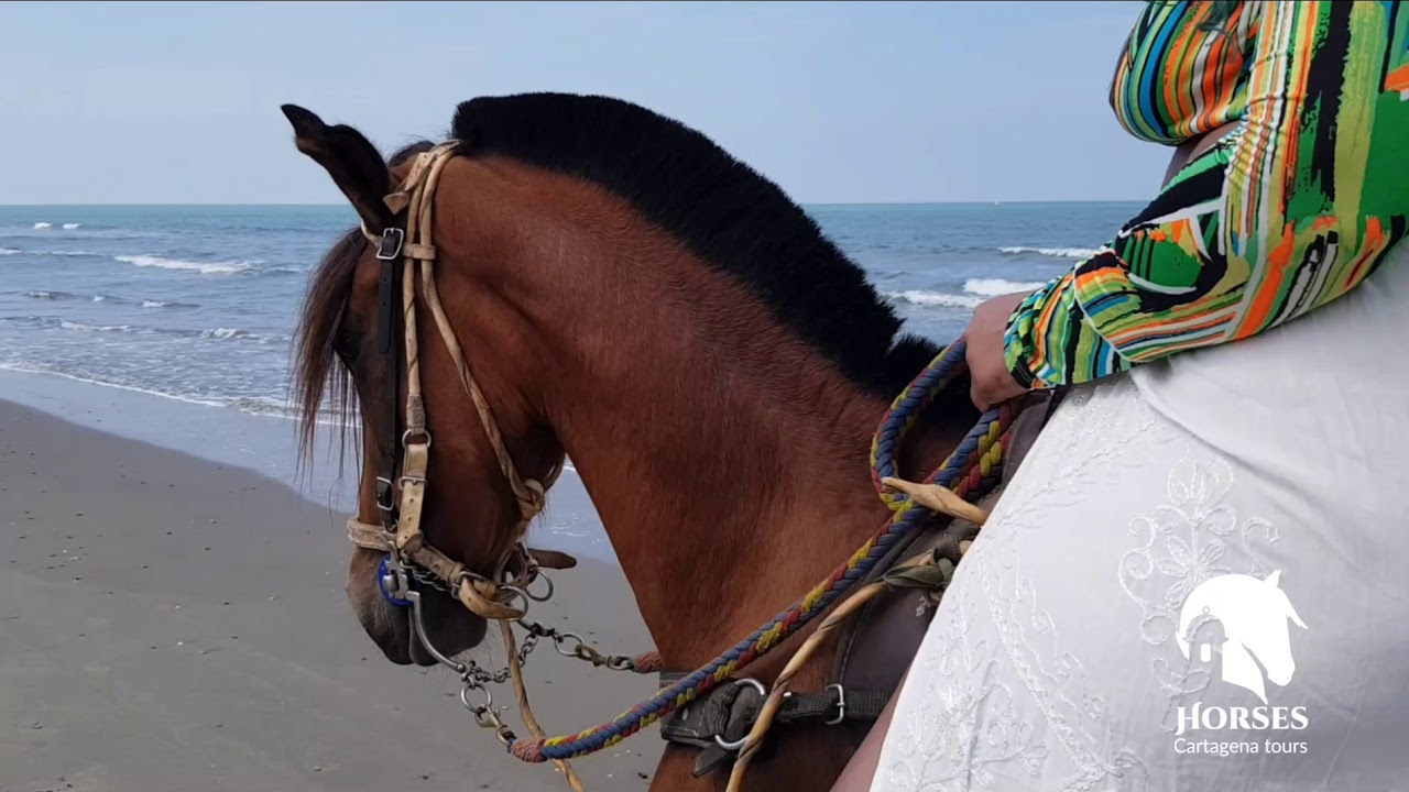 Tours a caballo en Cartagena de Indias