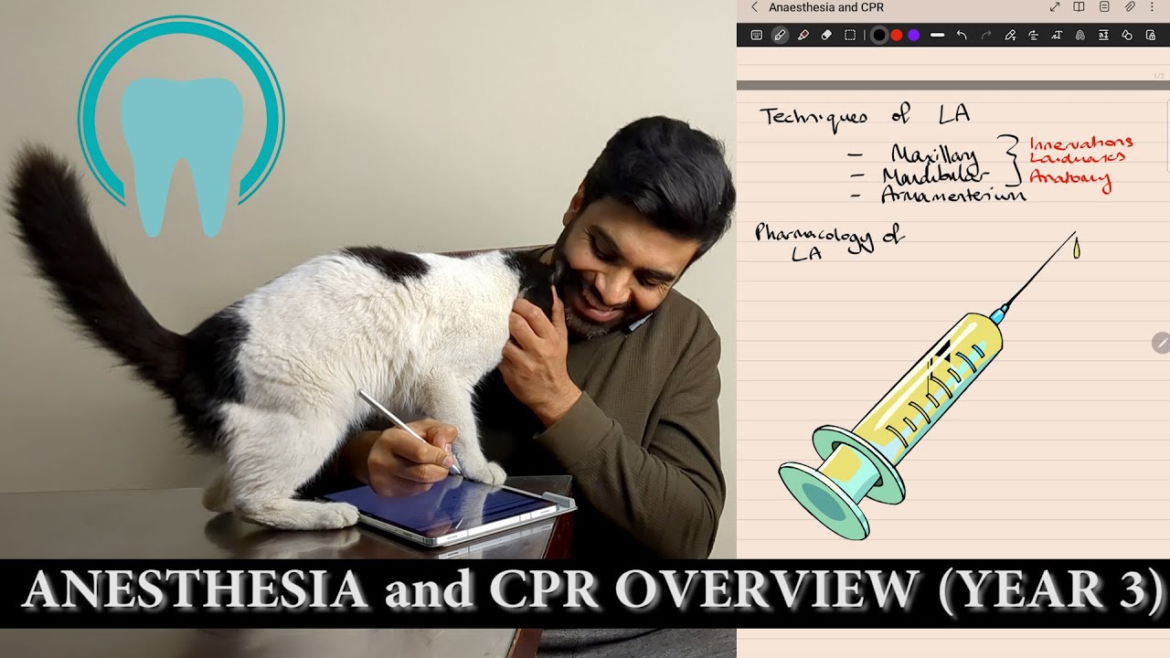 Anesthesia Overview Dentistry Egypt