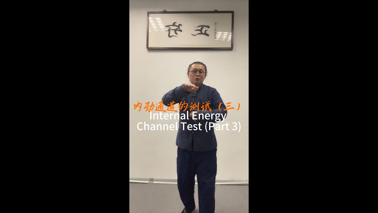 内劲通道的测试（三）#kungfu #martialarts #chineseculture #内劲 #太極拳 #武術