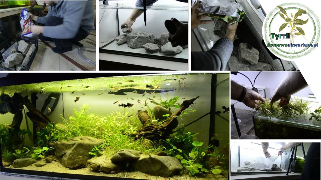 Zakładanie akwarium krok po kroku. Start akwarium 100l. Akwarium Low-Tech. Akwarium niskobudżetowe.
