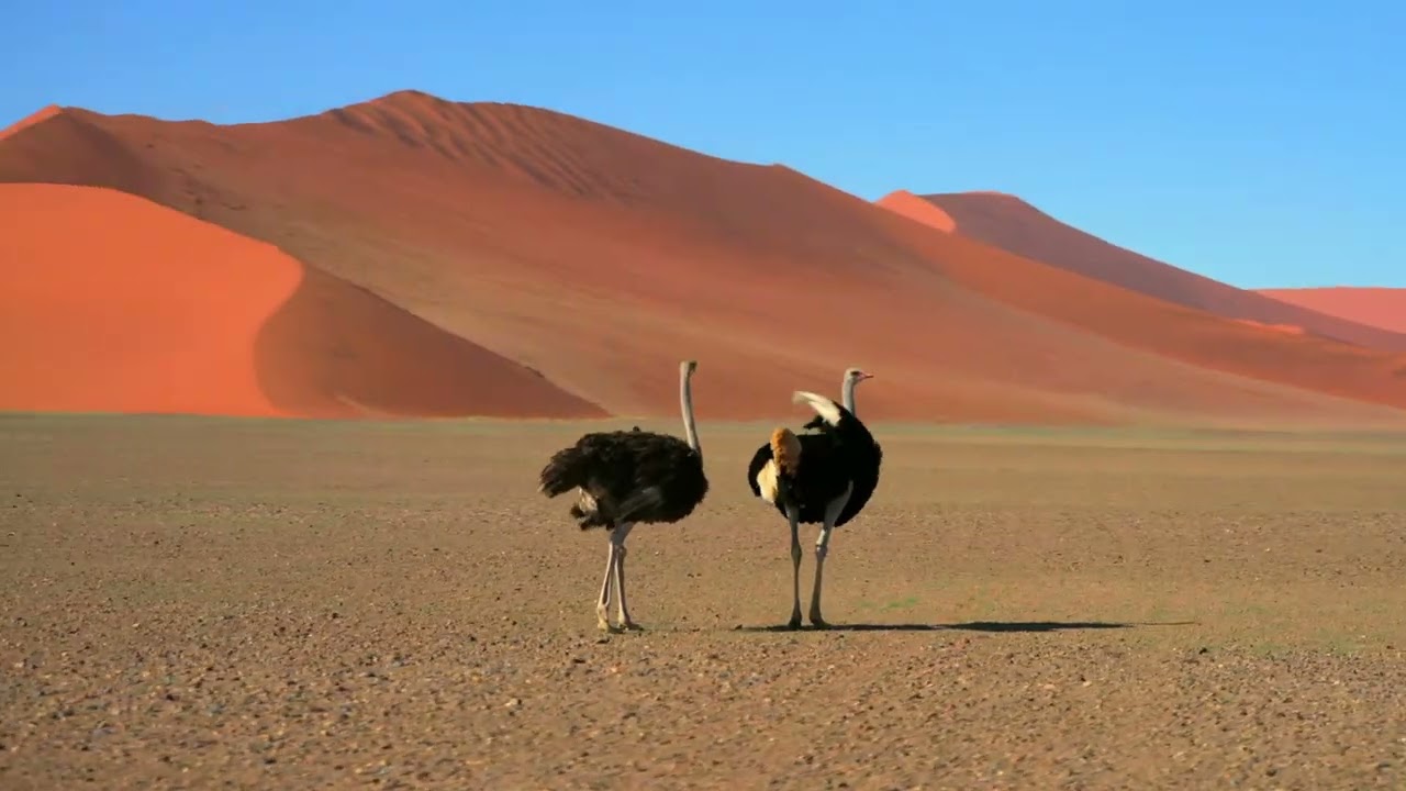 Namibie