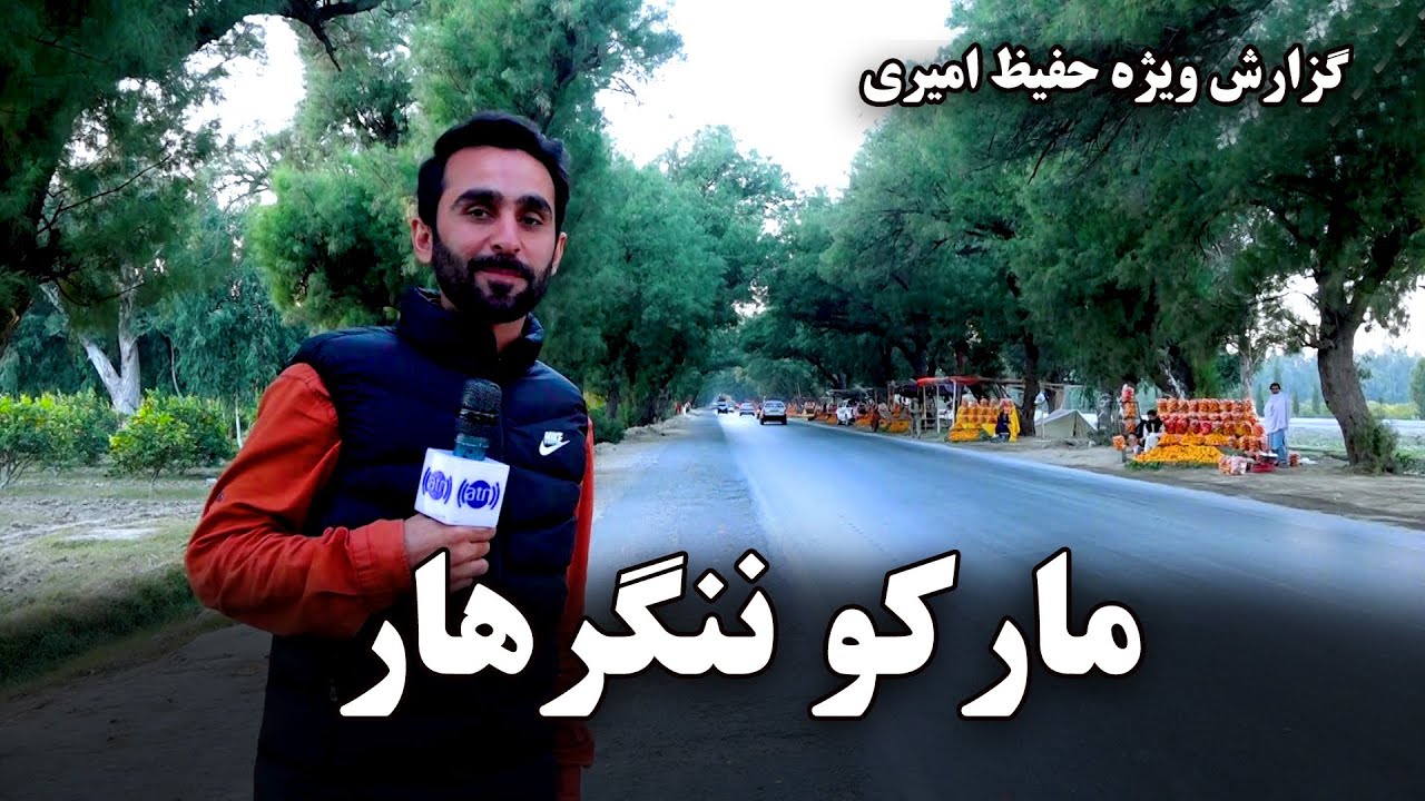 Marko Nangarhar in Hafiz Amiri report / مارکو ننگرهار در گزارش حفیظ امیری