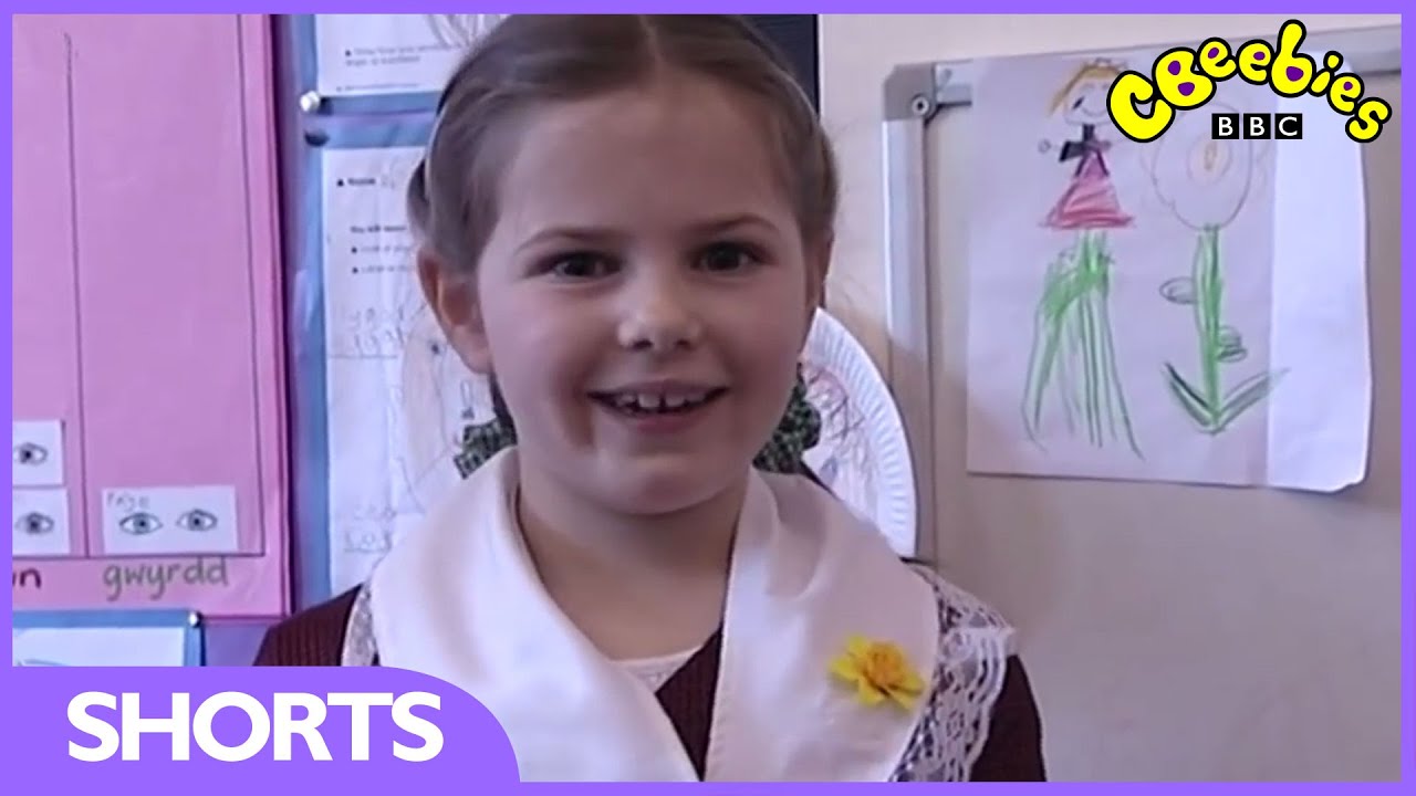 CBeebies - Preparing For St David's Day - Let's Celebrate