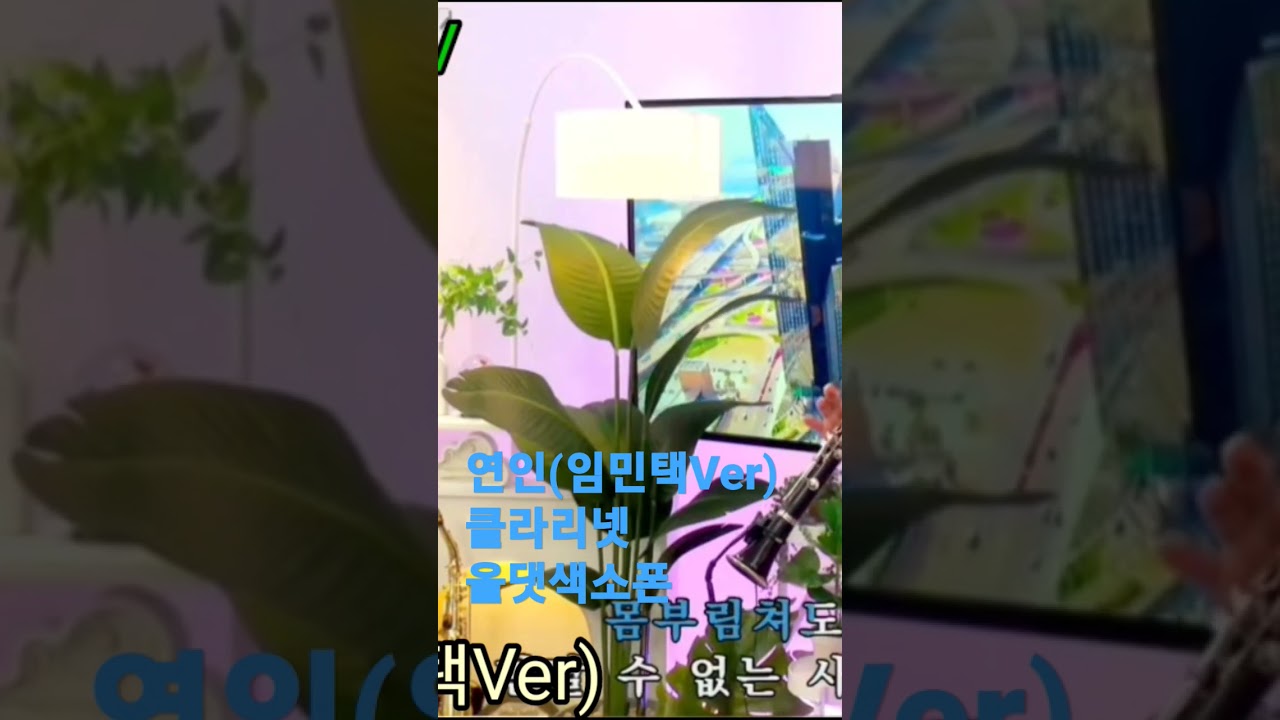 #한승기의연인(임민택Ver) #클라리넷 #올댓색소폰 #이기은