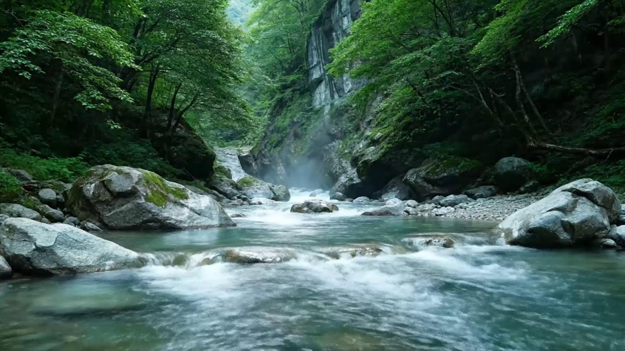 River Sounds for Insomnia Relief | Relaxing Flowing Water Nature White Noise All Night