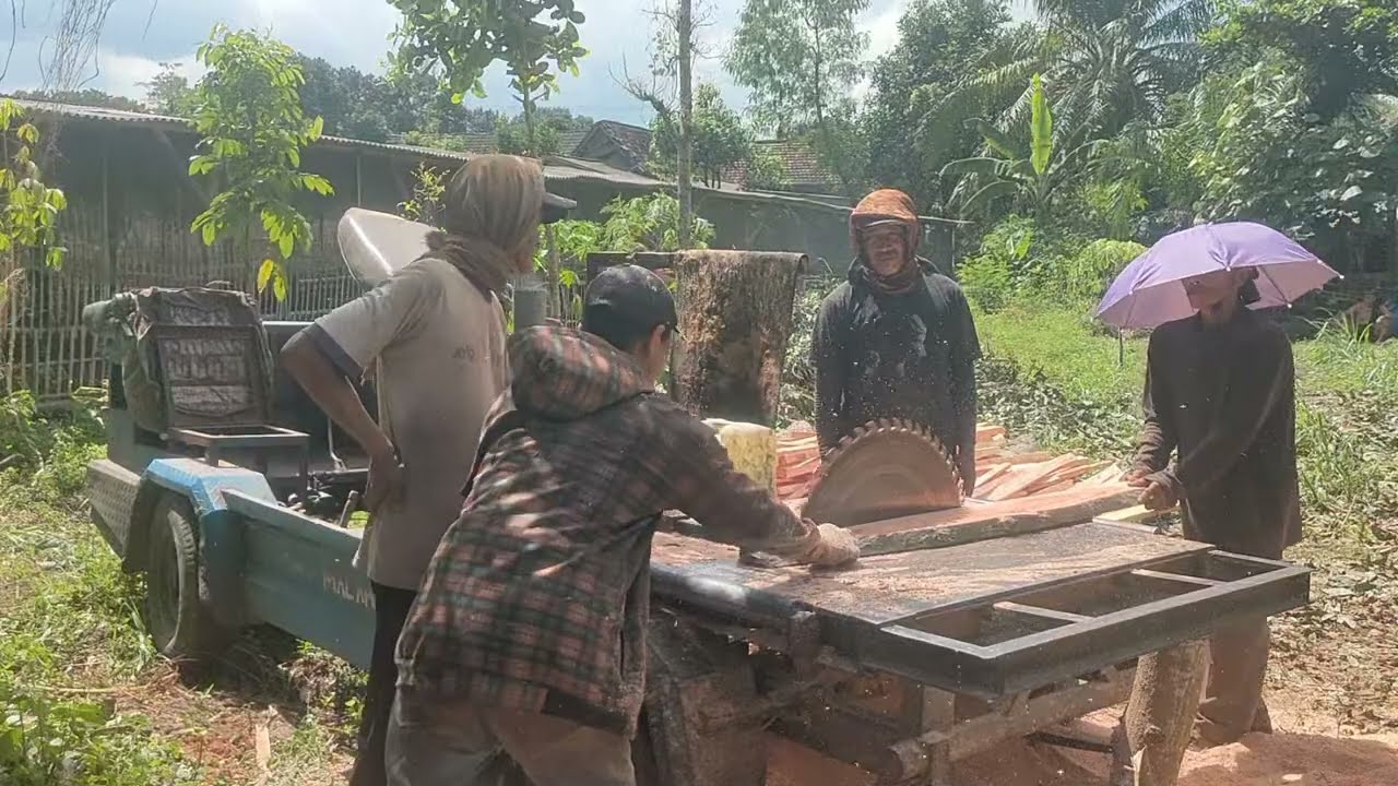 Terlalu Kompak Menggergaji Kayu Dengan Gergaji Bundar Rakitan 
