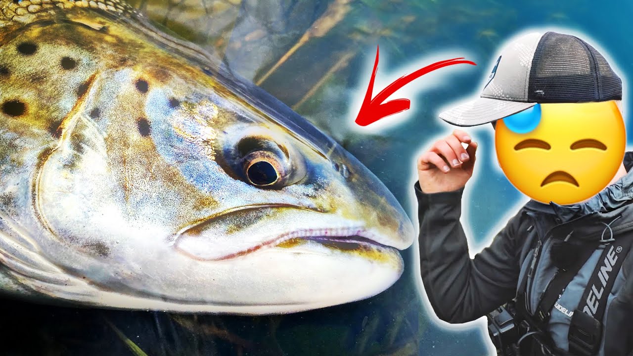 Expert In Loosing Fish!? - Fishing In Small River For Salmon And Sea Run Brown Trout!