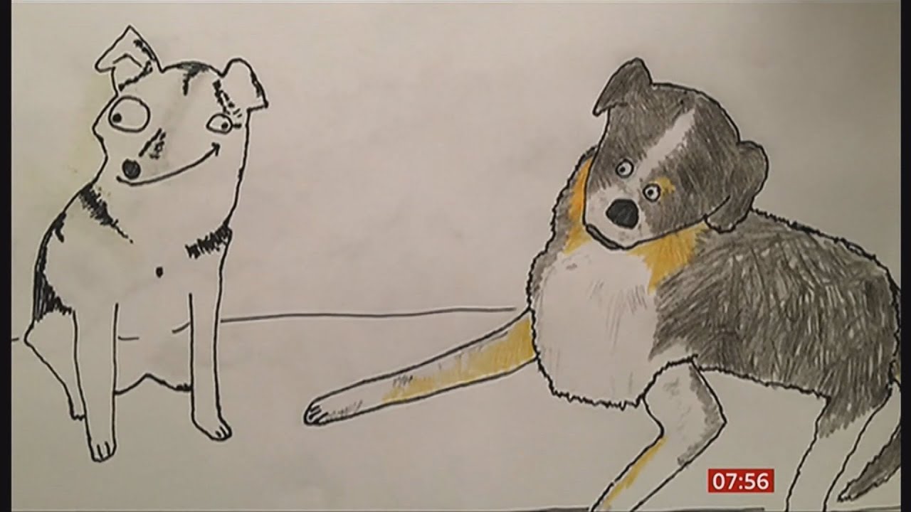 Your pet pictures drawn that are 'awfully good' (Fun story) (1) (UK) - BBC News - 21st October 2020