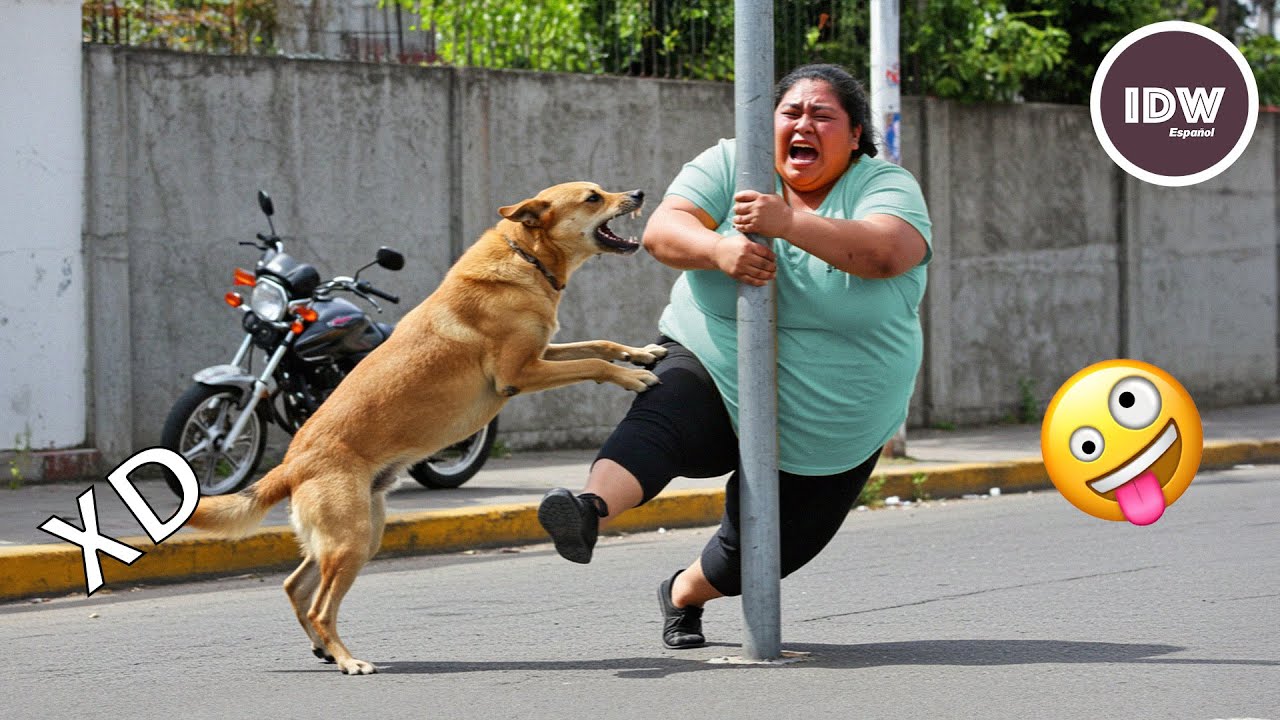 SI TE R&Iacute;ES PIERDES NIVEL DIOS #241 🤣 COMPILACI&Oacute;N ARREPENTIMIENTO INSTANT&Aacute;NEO FRACASO 2025😆