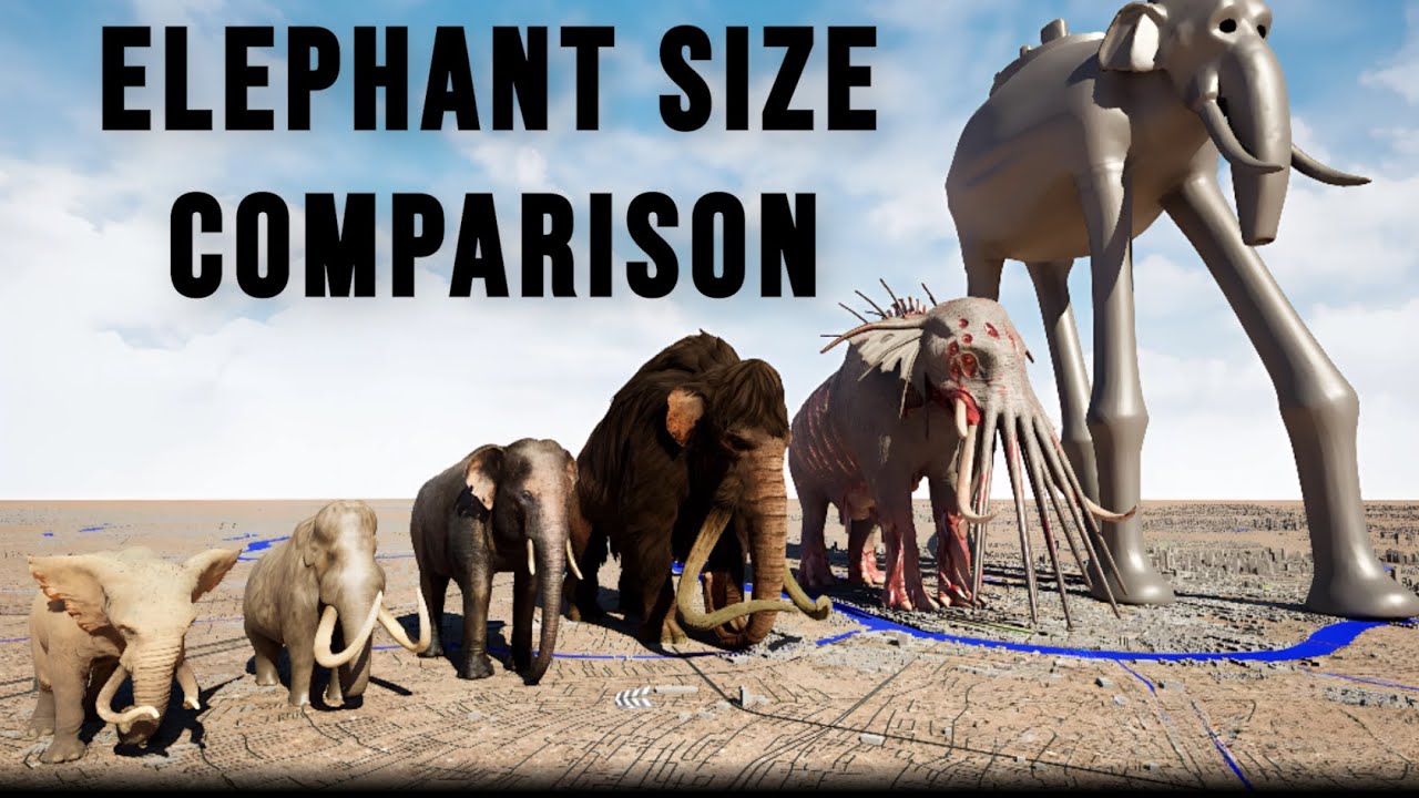 Monsters Elephant Size Comparison 3D | ZUNESHA VS BEHEMOTH
