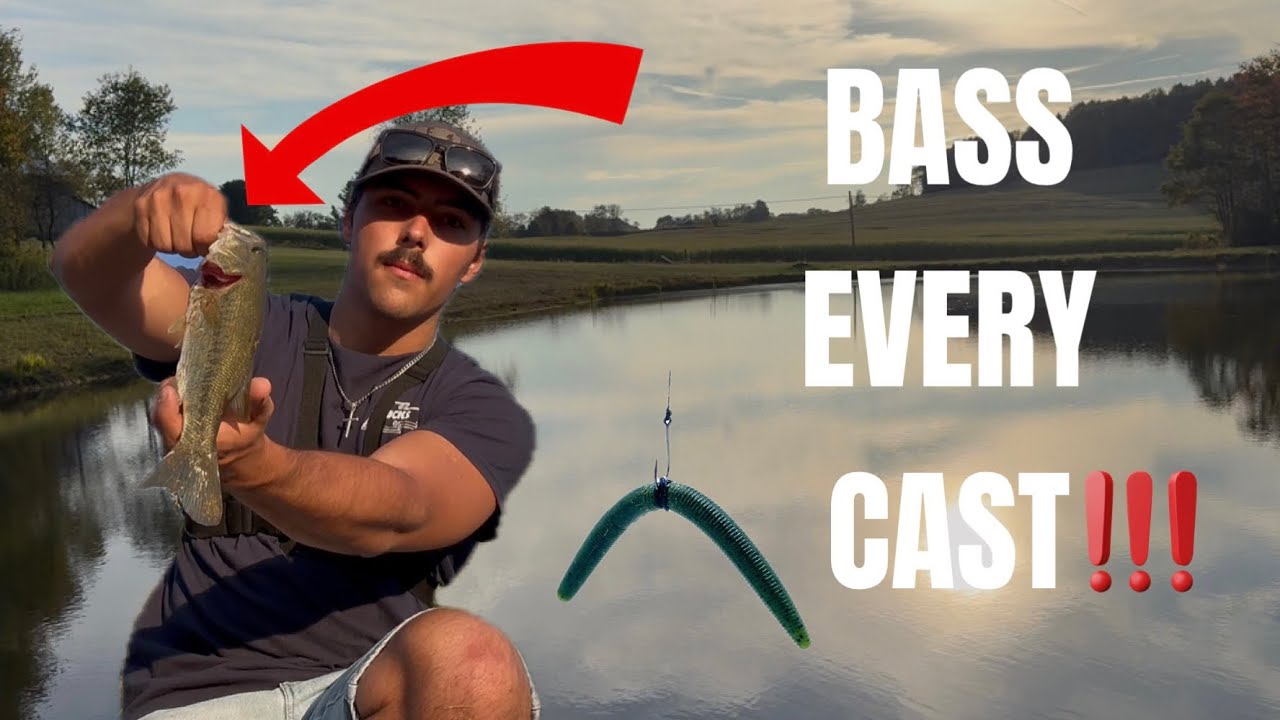 Bass Went Crazy for THIS Lure!