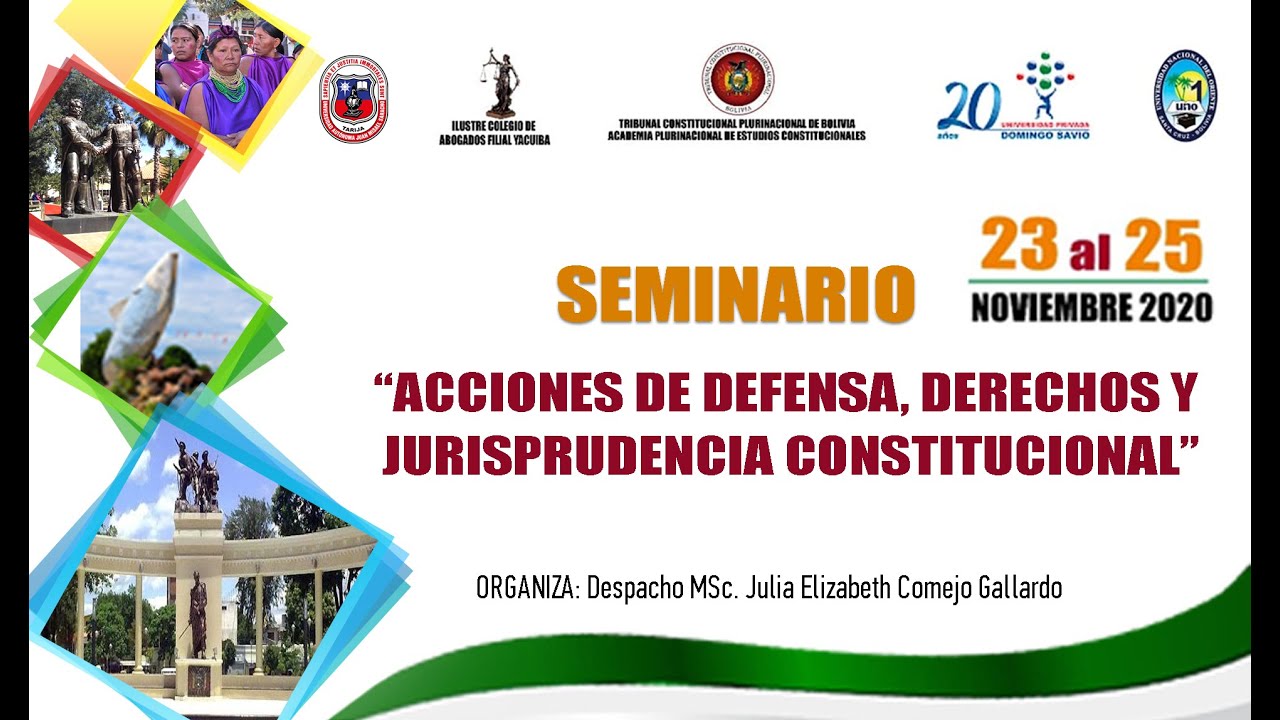 SEMINARIO: ACCIONES DE DEFENSA, DERECHOS Y JURISPRUDENCIA CONSTITUCIONAL - PRIMERA JORNADA