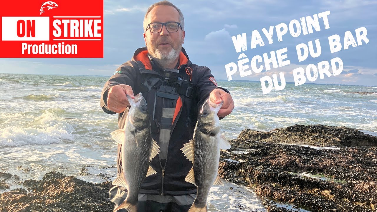 WAYPOINT - PÊCHE du BAR du BORD à la POINTE