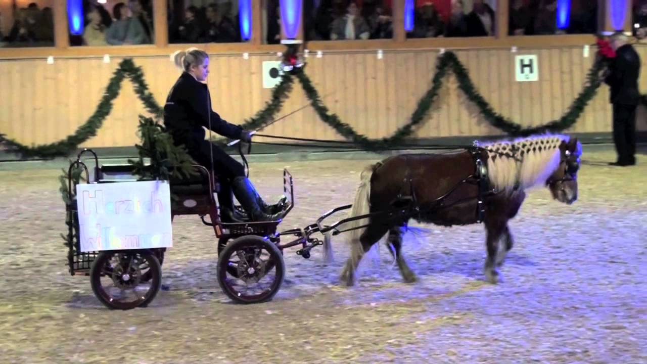 Galashow 2012 - Shettykutsche