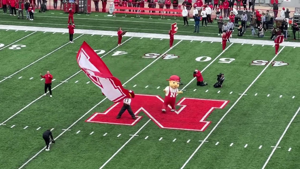 The Debut of the New Herbie Husker