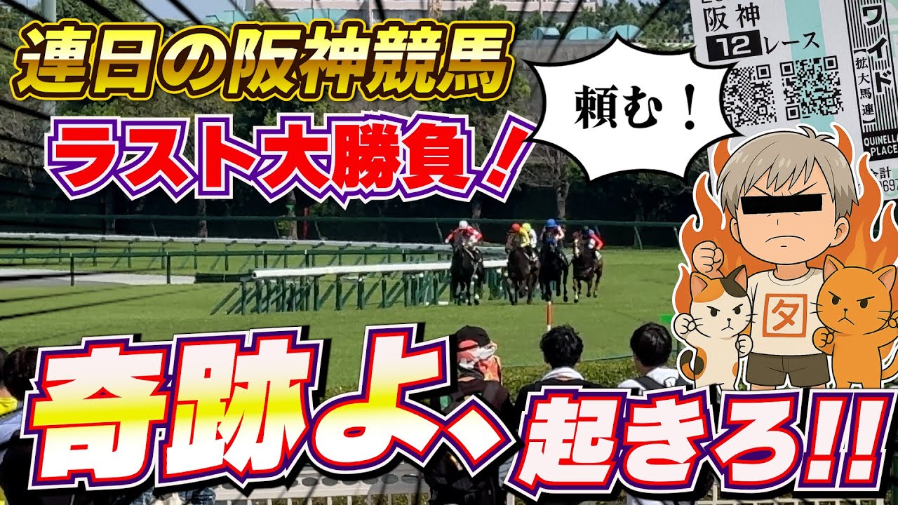 【競馬】現地連闘！土曜に続いてきょうも勝つ！！