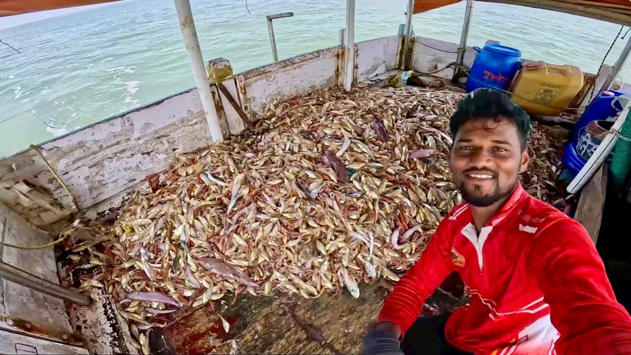 जेलिफिश नंतर गेलो खोल समुद्रात मासेमारी करायला. Deep sea fishing. Mumbai India fishing