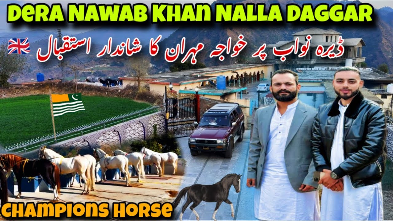 Dera Nawab Khan in Nalla Dagar💁🏻/ خواجہ مہران کاشاندار استقبال ڈیرہ پر /Beautiful Horse Dera Kashmir