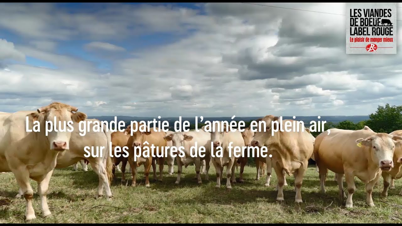 Les viandes de bœuf Label Rouge