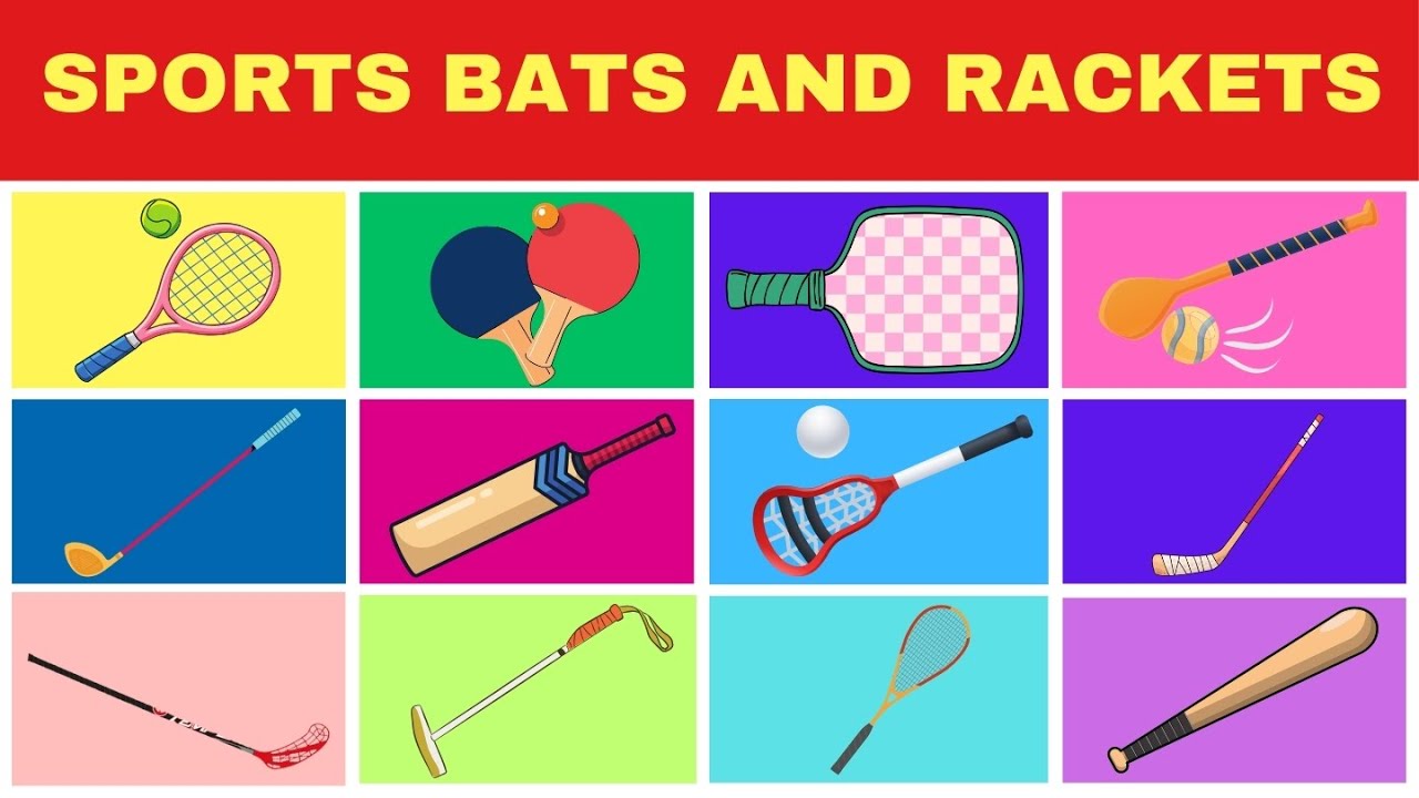 Sports Bats | Types of Bats and Rackets | Learning Names of Sports Bats in English for Kids | Sports