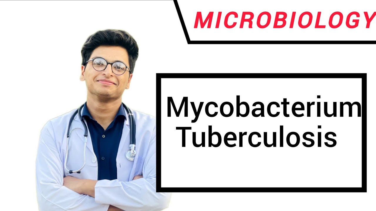 Mycobacterium tuberculosis microbiology 