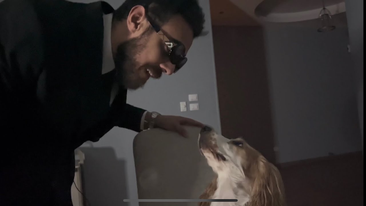 لا احد…. انا و الكلب: