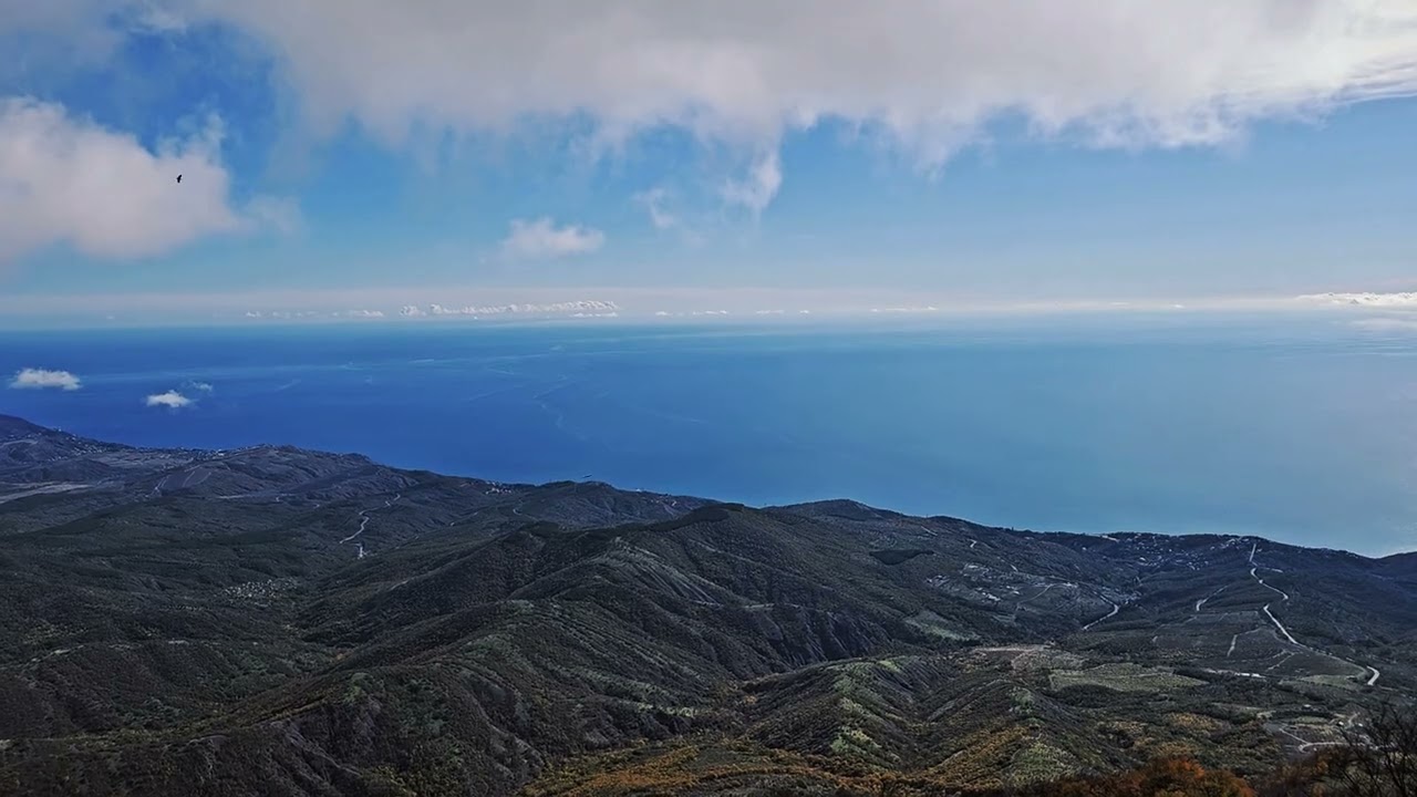 Дмитрий Резунов - 1000 слов