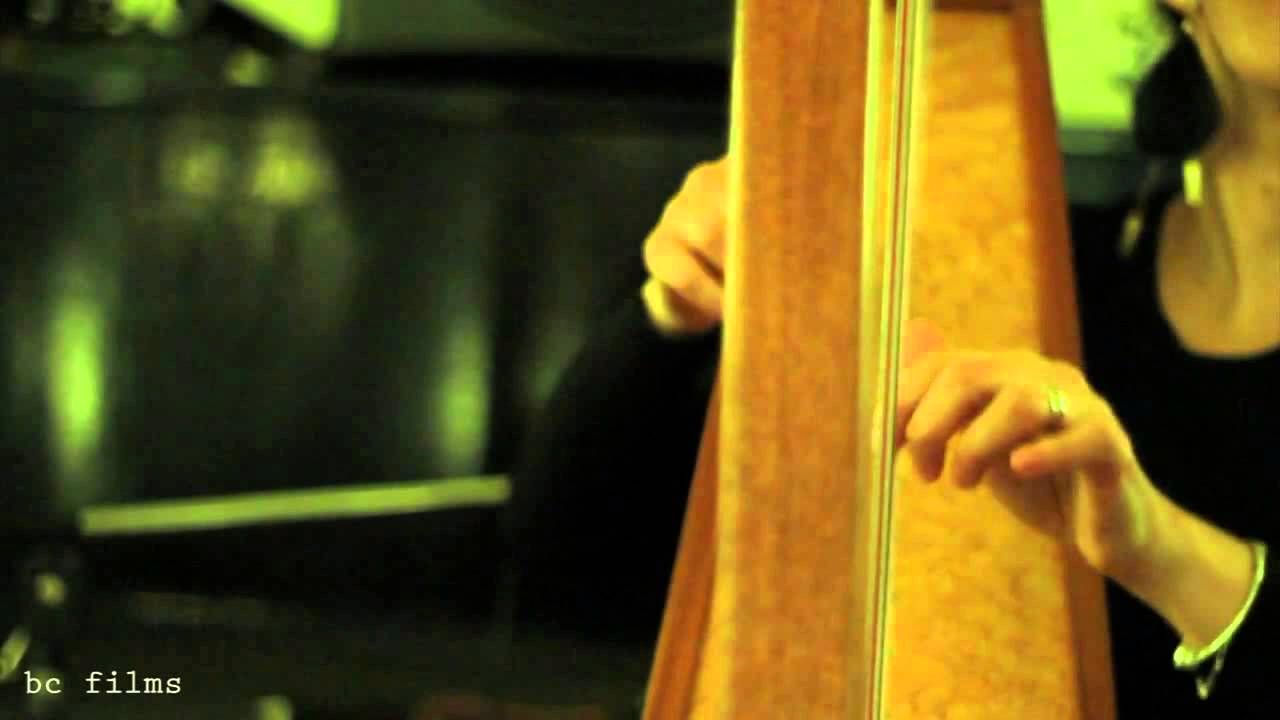Harp Meets Blues - Duygu Aydogan Lever Harp