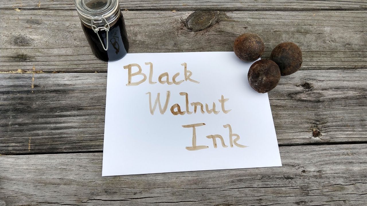 Green Witchcraft- Making Walnut Ink