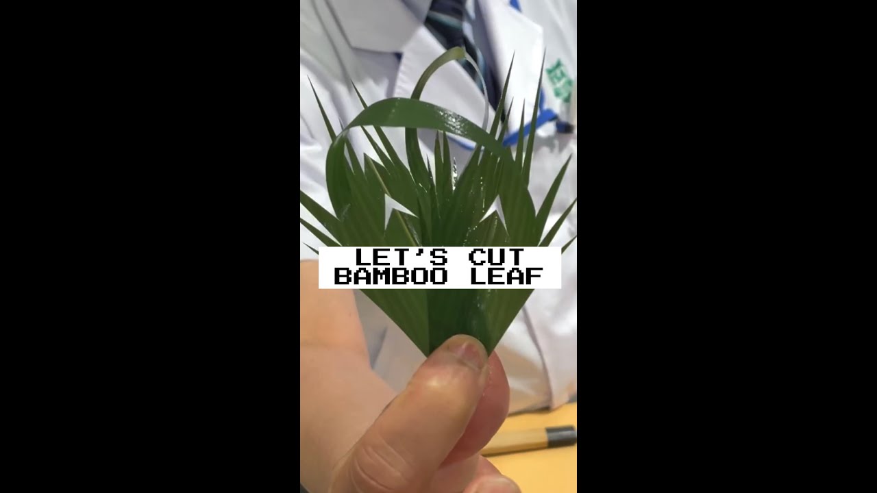 Let&rsquo;s Cut Bamboo Leaf #shorts@tokyosushiacademyenglishcourse