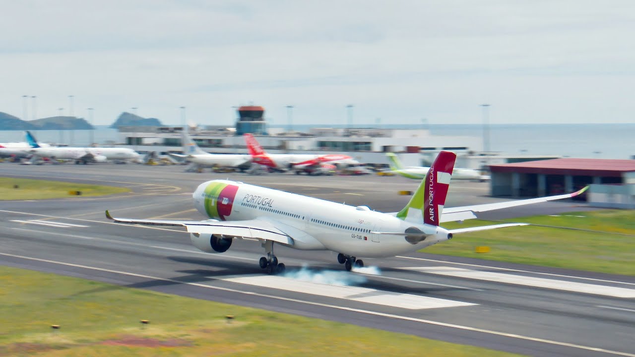 BIG BOY AIRBUS A330-900 Landing at Madeira Airport