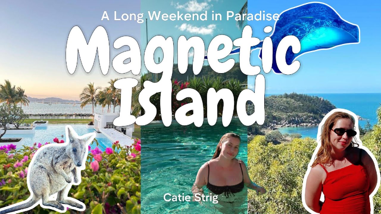 Magnetic Island MAGIC: Scuba Diving, Snorkeling & Koalas! (Queensland, Australia)