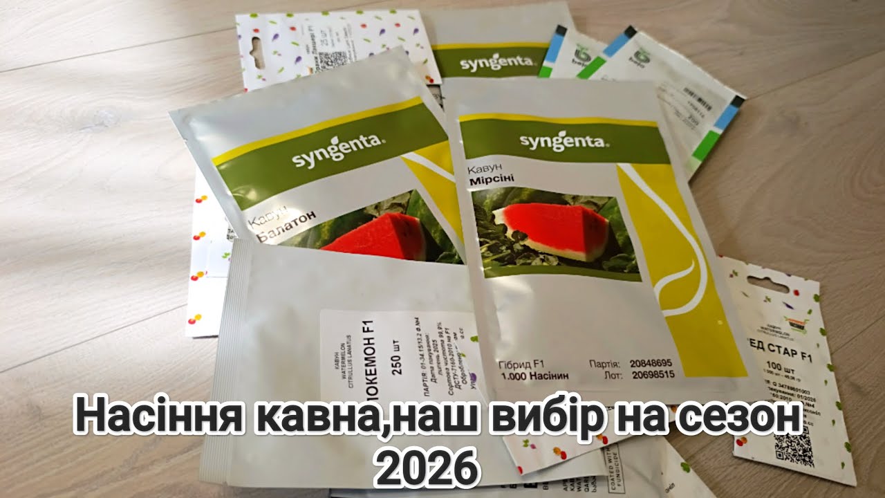 Короткий огляд кавуна на сезон 2026. Я саджаю тільки перевірені сорти. 