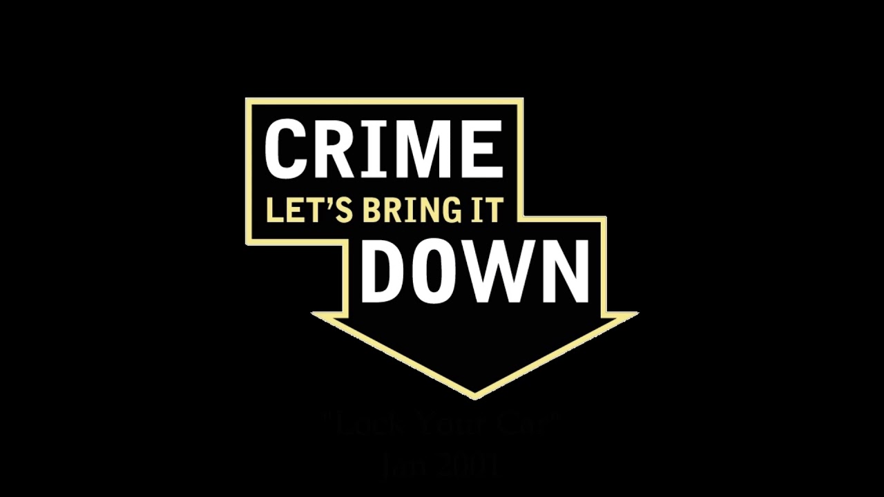 Stop The Thieves