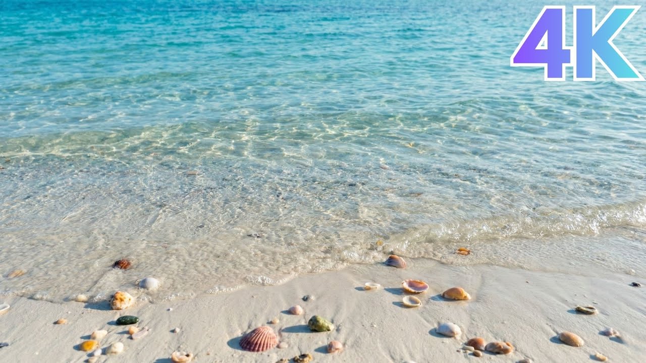 🎷No-Ads Smooth Jazz by the Ocean 🌊 Relaxing Beach Waves & Calm Jazz Music