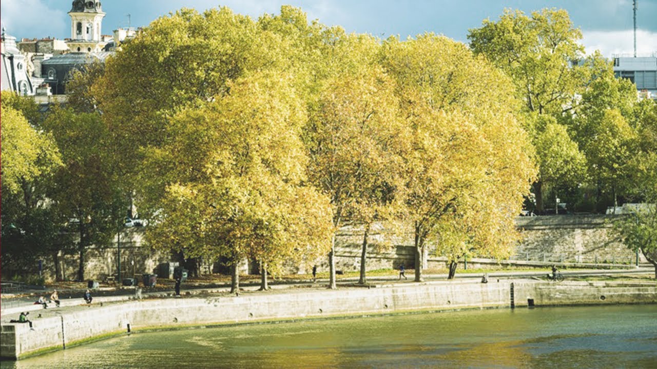 La Seine, un fleuve vivant – Redonner sa place à l'eau dans la ville