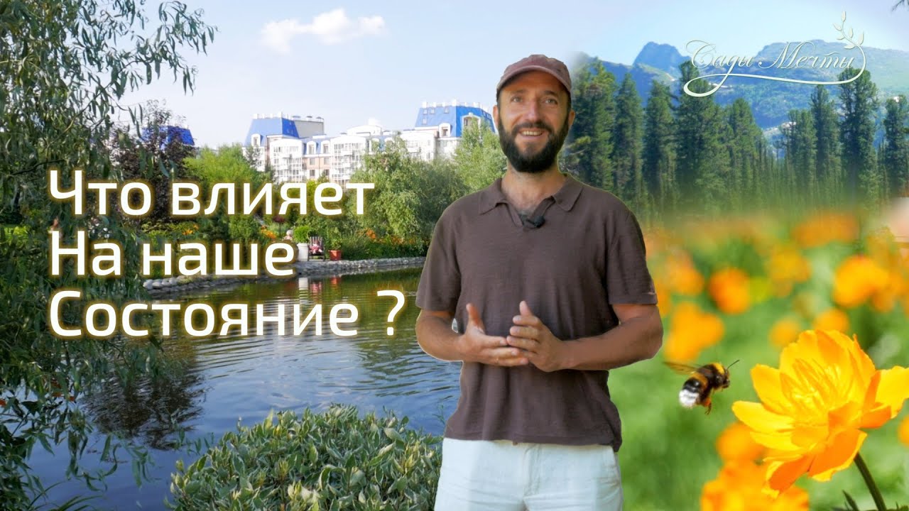Что такое Среда Обитания? Сады Мечты Денис Сафронов