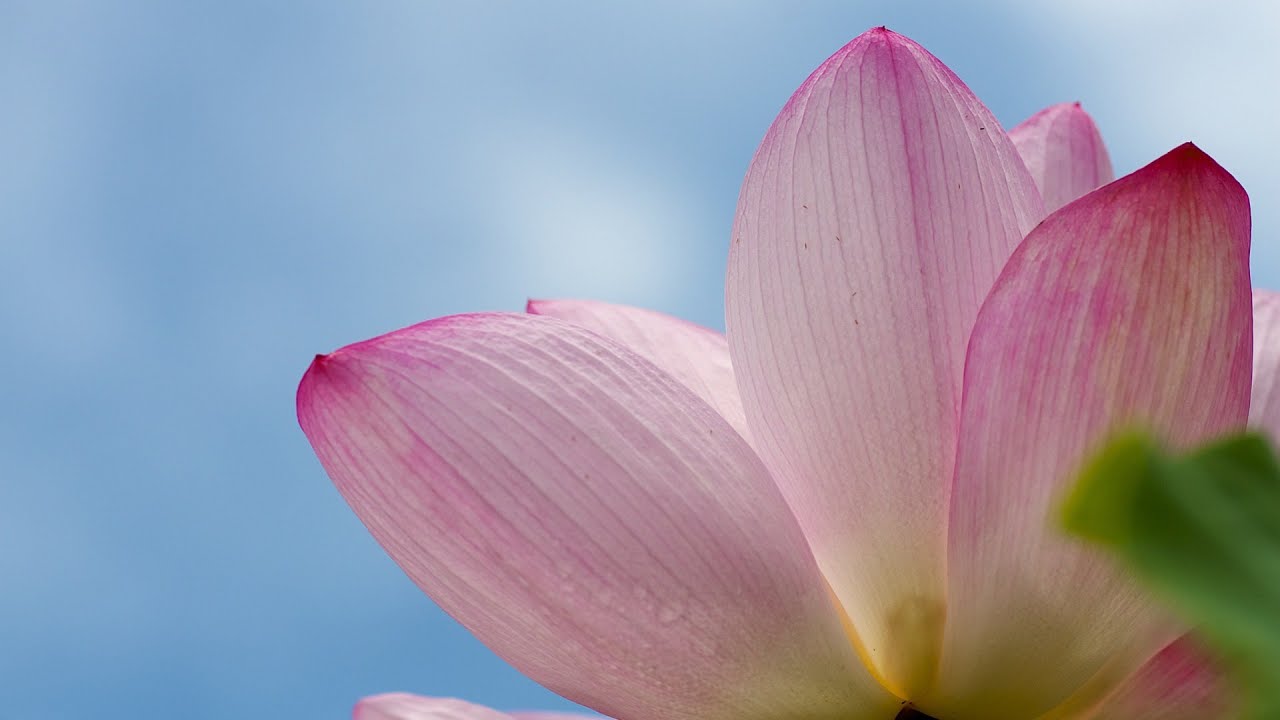 Qasidah Nooniyyah - Shaykh ul-Islaam ibn Qayyim al-Jazwiyyah