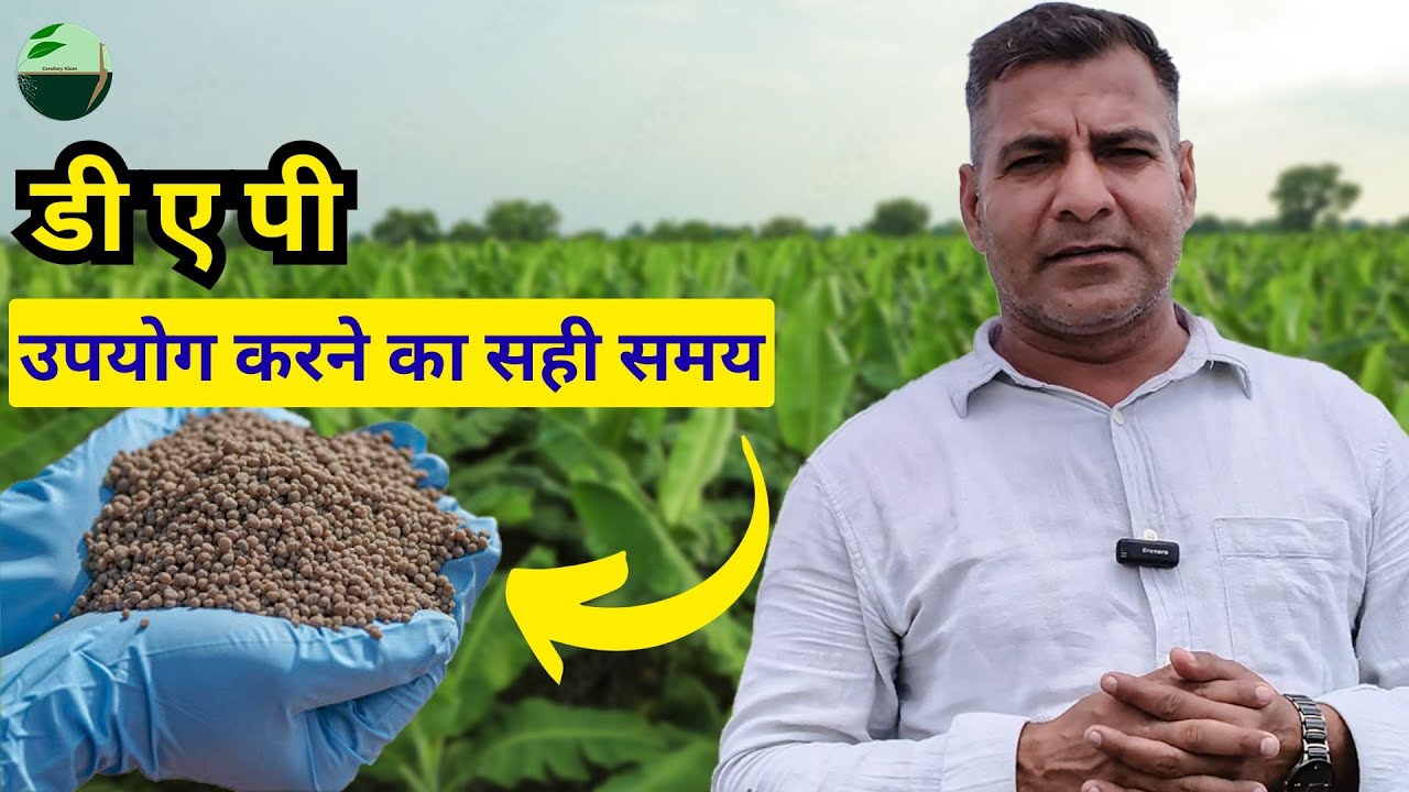 1476-Kisan karyashala: Urea/यूरिया क्यू जब गुड़ और सरसों की खल से काम हो सकता है #rahuljawan के साथ।
