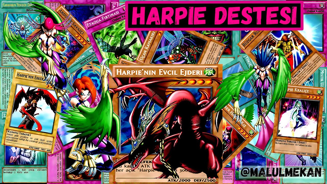 HARPİE DESTESİ YUGIOH - PART 30 - HIRÇIN KIZLARIMIZ VE ONLARIN FARKLI EFEKLERİYLE DÜELLLOYA HAZIRIZ