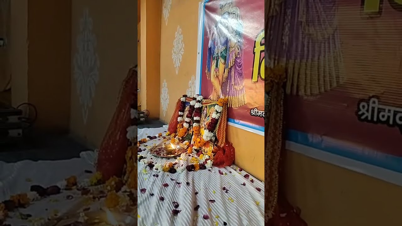 होली मिलन समारोह का आयोजन विनोद नगर बद्रीनाथ मंदिर, श्री बीरेंद्र जुयाल जी आप सभी सादर आमंत्रित हैं