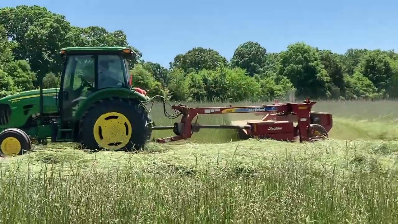 2022 Spring Abruzzi Rye Hay Crop