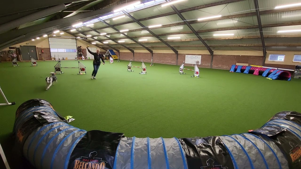 Training Skye en Ciske, 16 feb. 2026