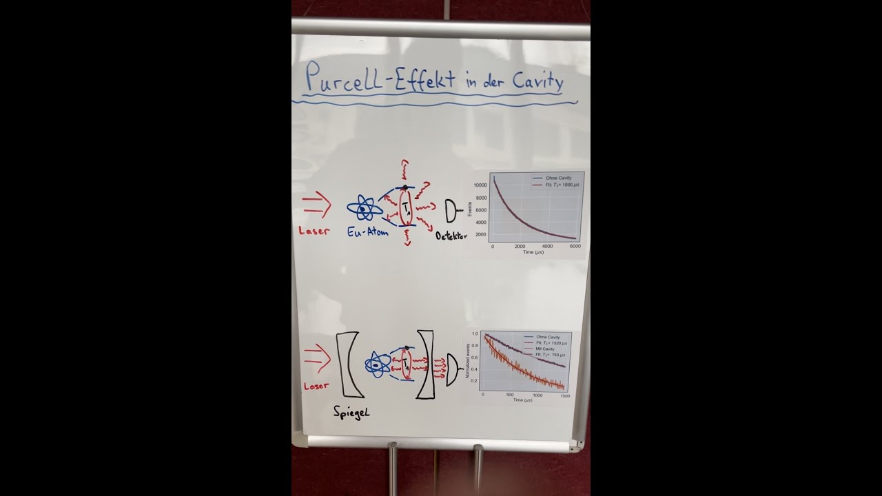 Purcell-Effect in a Cavity
