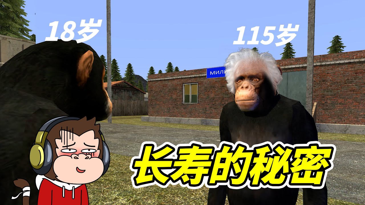 長壽村，還是&ldquo;長壽村&rdquo;- 蓋瑞模組| 勾魂公狒狒