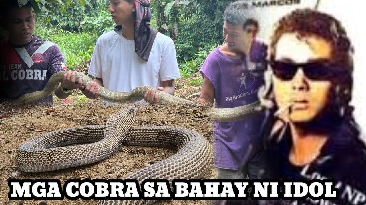 MGA COBRA SA BAHAY NI BONG REVILLA JR. #cobraprince